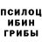 Галлюциногенные грибы мухоморы Erik Mangasryan