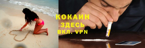 прущие грибы Киренск