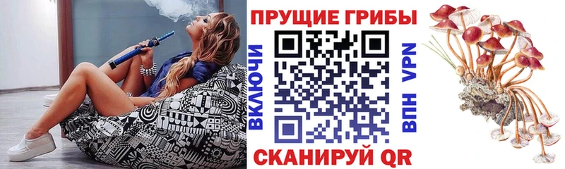 Псилоцибиновые грибы прущие грибы Белореченск